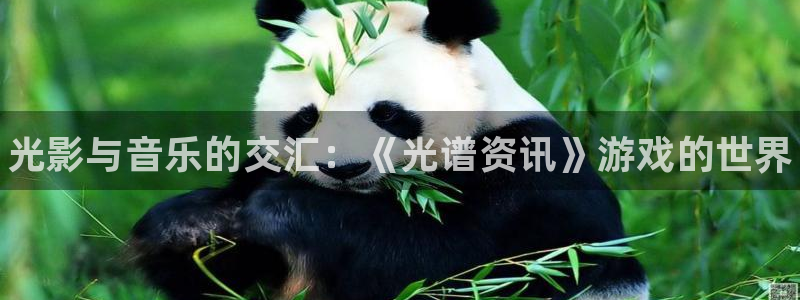鼎点娱乐平台注册开户：光影与音乐的交汇：《光谱资讯》游戏的世
