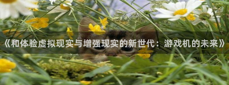 手机版鼎点娱乐客户端下载：《和体验虚拟现实与增强现实的新世代