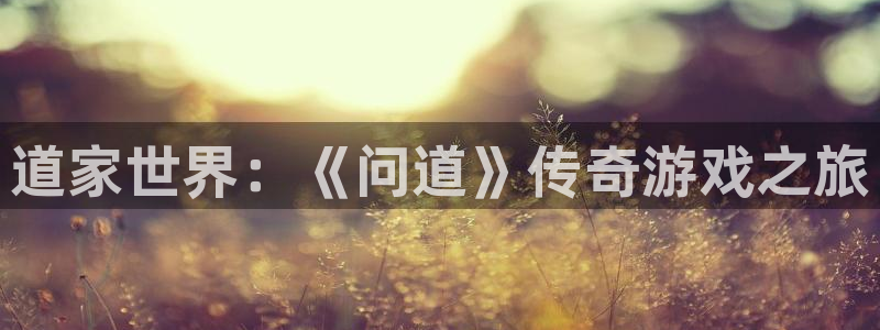 鼎点娱乐注册账号：道家世界：《问道》传奇游戏之旅