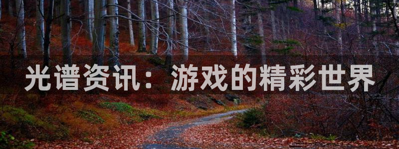 鼎点娱乐手机网页版登录：光谱资讯：游戏的精彩世界