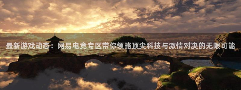 鼎点娱乐网页登录入口：最新游戏动态：网易电竞专区带你领略顶尖