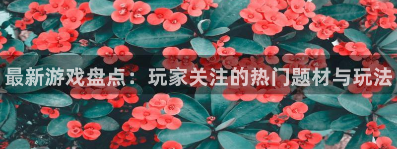 鼎点娱乐注册平台：最新游戏盘点：玩家关注的热门题材与玩法