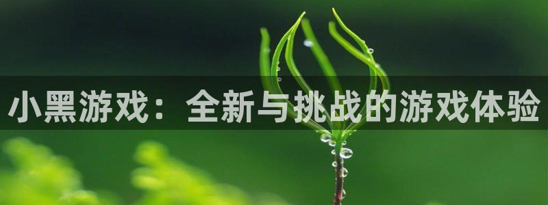 鼎点娱乐平台