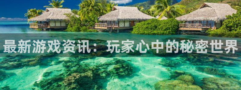 鼎点娱乐开户测速：最新游戏资讯：玩家心中的秘密世界
