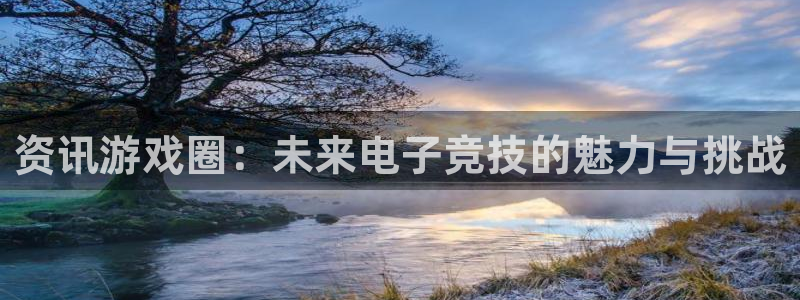鼎点娱乐登陆：资讯游戏圈：未来电子竞技的魅力与挑战