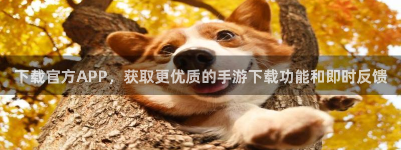 鼎点娱乐注册官方登录app：下载官方APP，获取更优质的手游